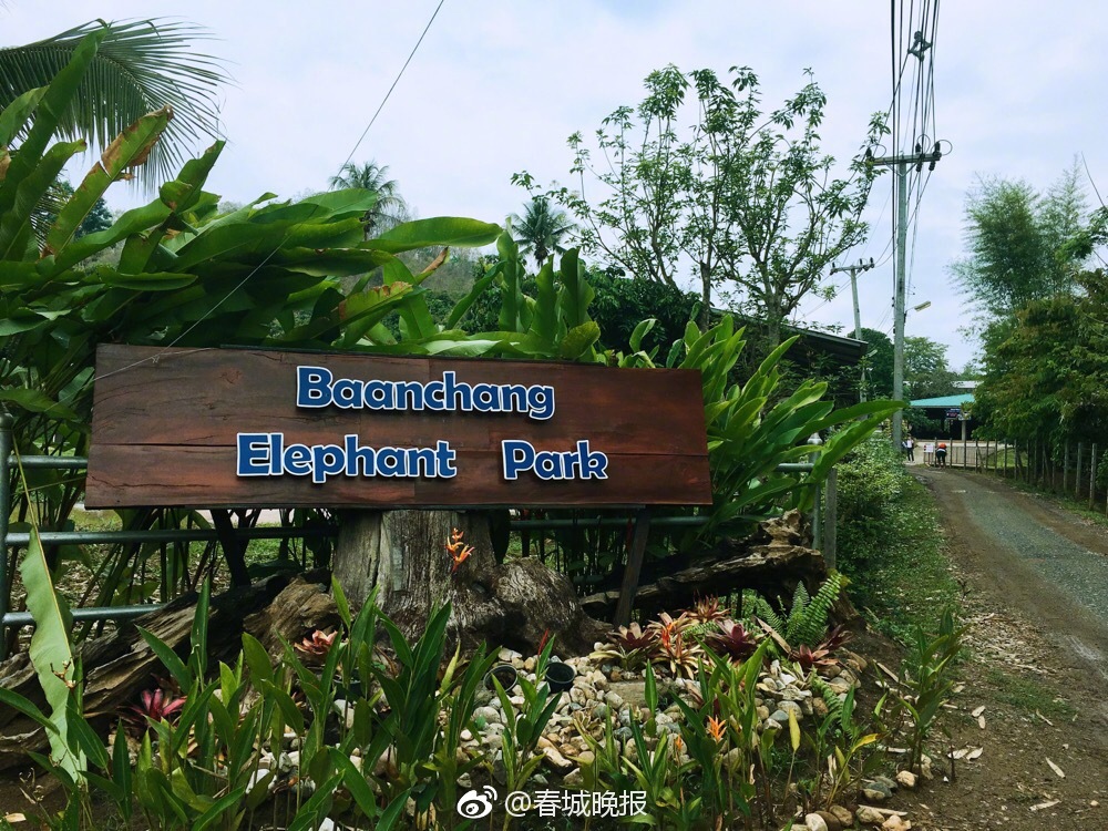 建筑业_南阳品茶价格