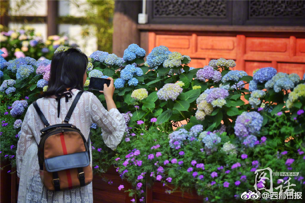 采矿_南京晚上去玩的地方