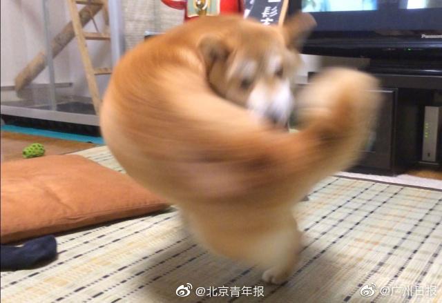美团可以约人吗、丰衣足食,美团可以预约下单吗