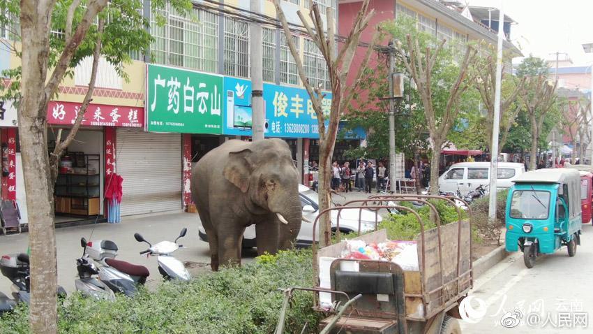 什么地方可以找妹子