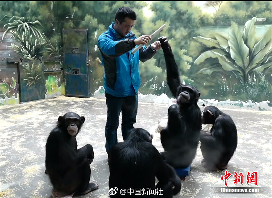 qq相关‘桑拿服务服务怎么收费,桑拿是什么服务流程