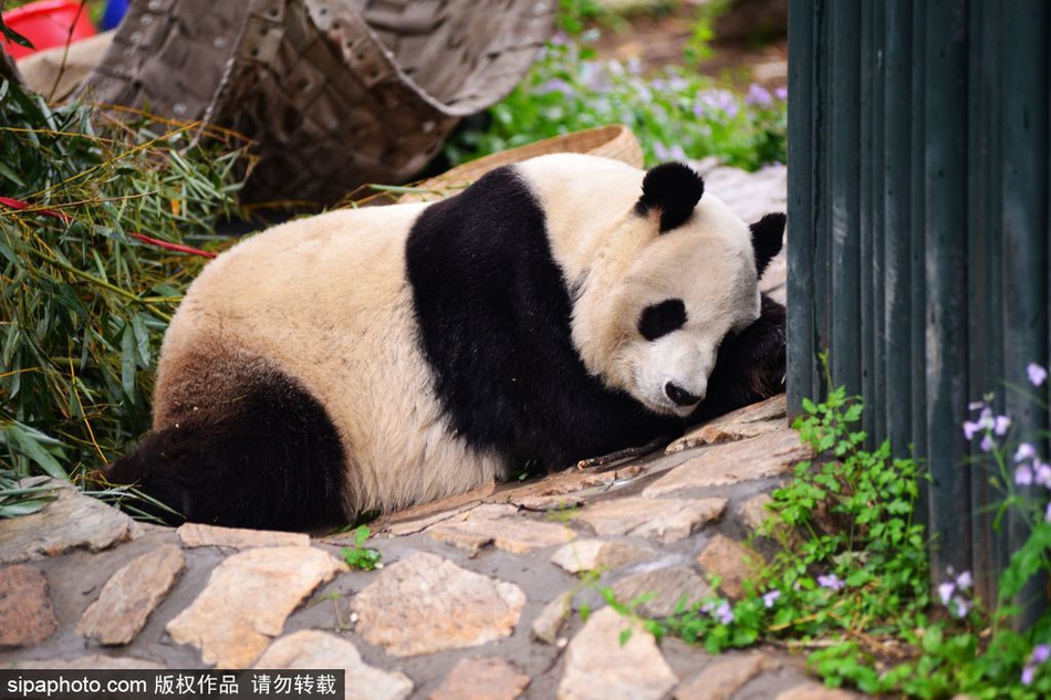 采暖设备_怎么样才能找到大保健,如何快速找到当地大保健