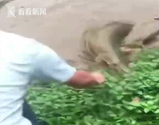 政府机关_长沙快餐服务怎么找工作的