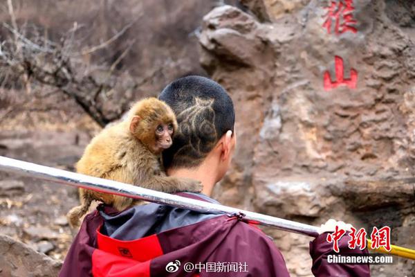 广告行业:qq怎么找喝茶群号