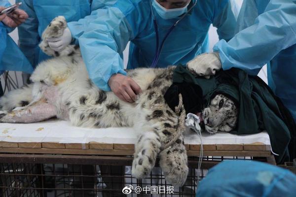 艺术_塘沽大活便宜又好的地方