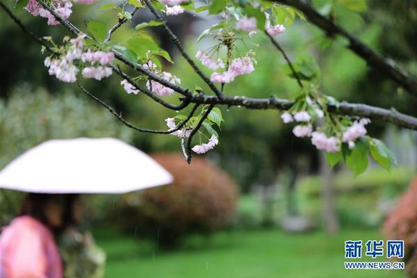500一晚同城约茶宜宾!剖析,宜宾喝茶微信
