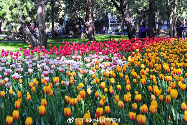 农业_找喝茶的app