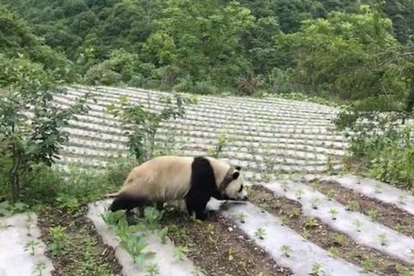 音乐舞蹈_中山市横栏镇晚上好去处