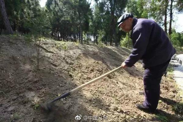 媒体行业《寻找美女上门服务
