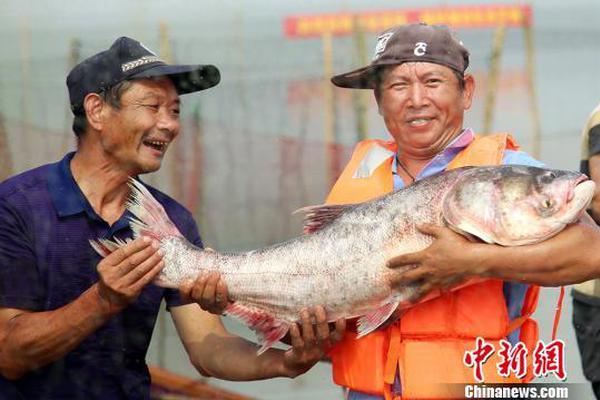 51品茶轻量版下载~理解理睬,51品茶app知乎