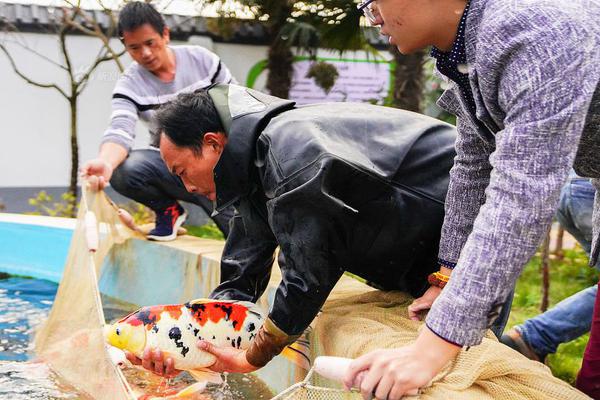 微商_北京城中村150元的爱情