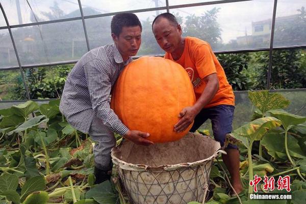 qq约人付定金~目光如豆,qq约妹子先付押金