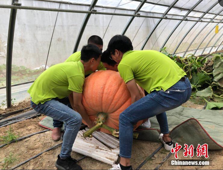 服务业_广州黄埔150快餐