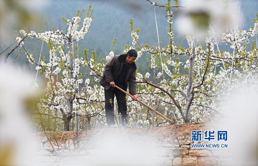 公益组织_青白江三桥老车站街服务