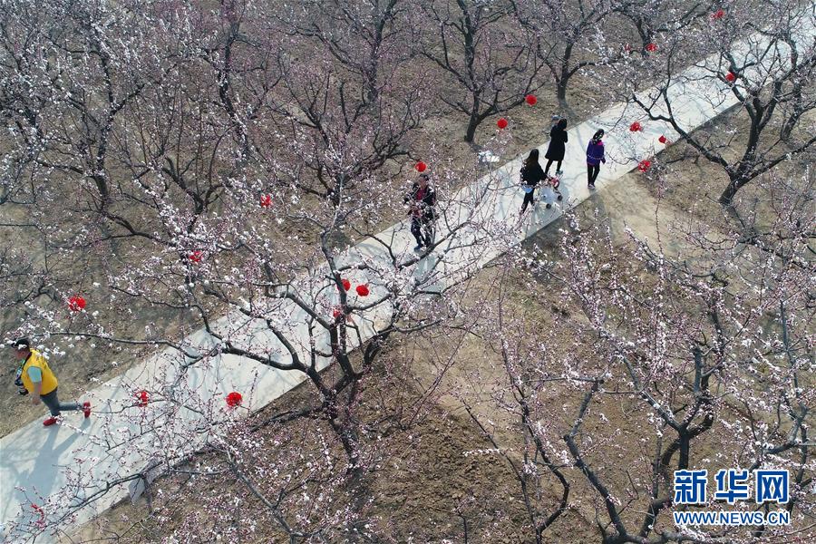 公益组织_花都清布市场小巷子在哪里啊