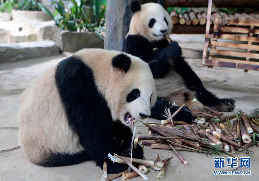 广告行业_宜春小巷子有好玩的吗多少钱